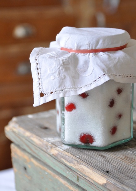 Home Made Cherry Visinata Vishniak Season Jar